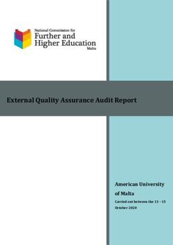 External Quality Assurance Audit Report - American University of Malta Carried out between the 13 15 - Malta Further ...