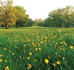 Council Tax 2018/19 - Bracknell Forest Council