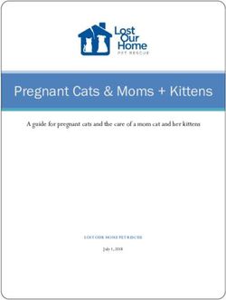 Pregnant Cats & Moms + Kittens - A guide for pregnant cats and the care of a mom cat and her kittens - Lost Our Home