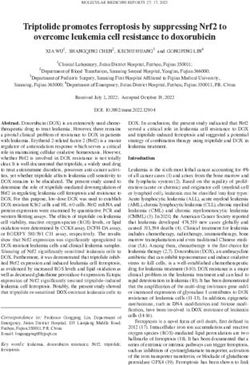 Triptolide promotes ferroptosis by suppressing Nrf2 to overcome leukemia cell resistance to doxorubicin
