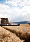 Central West and Orana Regional Plan 2036 - Analysis & Policy ...