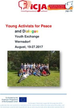 Young Activists for Peace and Dialogue - Youth Exchange Wernsdorf August, 19-27.2017 - ICJA