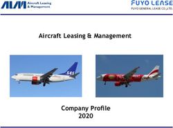 Aircraft Leasing & Management - Company Profile 2020 - Aircraft Leasing & Management