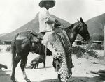 BRINGING EL TIGRE HOME - JAGUAR RECOVERY IN THE U.S. SOUTHWEST - DEFENDERS OF WILDLIFE