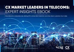 CX MARKET LEADERS IN TELECOMS: EXPERT INSIGHTS EBOOK - CSG