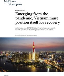 EMERGING FROM THE PANDEMIC, VIETNAM MUST POSITION ITSELF FOR RECOVERY - MCKINSEY