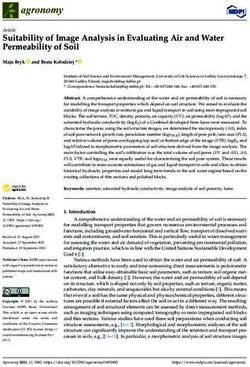 Suitability of Image Analysis in Evaluating Air and Water Permeability of Soil