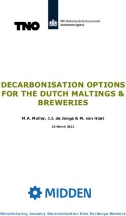 DECARBONISATION OPTIONS FOR THE DUTCH MALTINGS & BREWERIES - M.A. Muller, J.J. de Jonge & M. van Hout