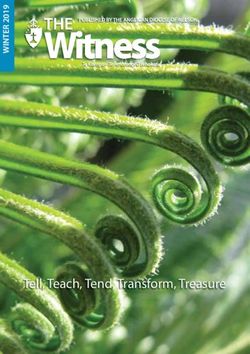 Tell, Teach, Tend, Transform, Treasure - Anglican Diocese Of Nelson