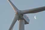 Wind Turbine Interactions with Birds, Bats, and their Habitats