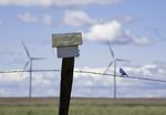 Wind Turbine Interactions with Birds, Bats, and their Habitats
