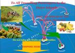 Cook Islands National Invasive Species Strategy And Action Plan 2019 2025 - CHM | CBD