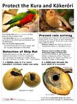 Cook Islands National Invasive Species Strategy And Action Plan 2019 2025 - CHM | CBD