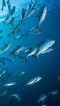 Marine Journey Event Guide - International Union for Conservation of Nature