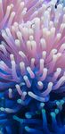 Marine Journey Event Guide - International Union for Conservation of Nature