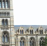 10 May 2018, Natural History Museum, London - www.rli.uk.com/awards - Retail & Leisure ...