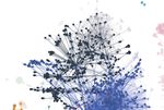 The Technicity of Platform Governance - Structure and Evolution of Facebook's APIs - Uni Siegen