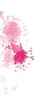 The Technicity of Platform Governance - Structure and Evolution of Facebook's APIs - Uni Siegen