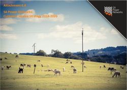 Attachment 6.6 SA Power Networks: Customer Service Strategy 2014-2020
