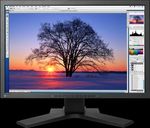 Welcome to PowerDemo - Canon camera, lenses & accessories Canon Speedlite flash and Pocket Wizard Canon HD-SLR video