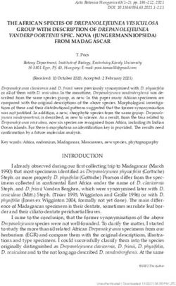 THE AFRICAN SPECIES OF DREPANOLEJEUNEA VESICULOSA GROUP WITH DESCRIPTION OF DREPANOLEJEUNEA - AKJournals