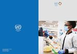 United Nations development assistance framework for the immediate socio-economic response to COVID-19: Contextualization in Senegal - ReliefWeb