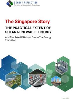 The Singapore Story THE PRACTICAL EXTENT OF SOLAR RENEWABLE ENERGY - And The Role Of Natural Gas In The Energy Transition - Genesis Ray Energy