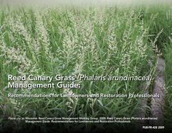 Reed Canary Grass (Phalaris arundinacea) Management Guide