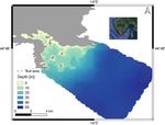 Bathymetry Modelling from Altimeter-Based Gravity and Satellite Multispectral Images in the North Adriatic