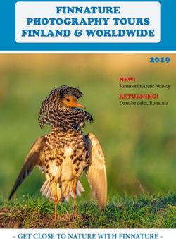 FINNATURE PHOTOGRAPHY TOURS FINLAND & WORLDWIDE 2019