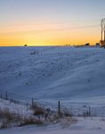 The Sempel Life at Pokey Creek Farm - Pioneer Utility ...
