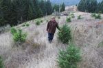 The Sempel Life at Pokey Creek Farm - Pioneer Utility ...