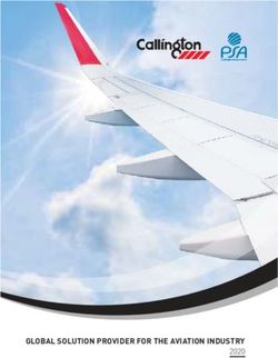 GLOBAL SOLUTION PROVIDER FOR THE AVIATION INDUSTRY 2020