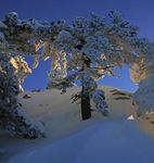 XXIII OLYMPIC WINTER GAMES 2018 WORKING GROUP REPORT - Olympic.org