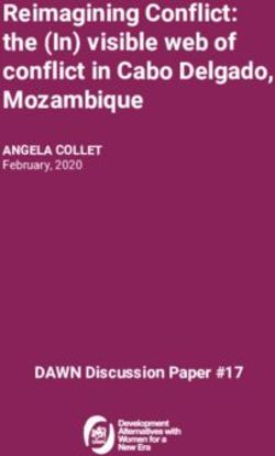 Reimagining Conflict: the (In) visible web of conflict in Cabo Delgado, Mozambique - DAWN Discussion Paper #17