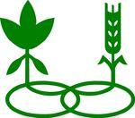 2021 Soybean Variety News - Renwood Farms