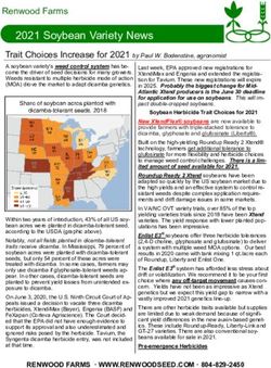 2021 Soybean Variety News - Renwood Farms