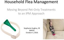 Household Flea Management - Moving Beyond Pet Only Treatments to an IPM Approach BAPPG - Bay Area Clean Water Agencies