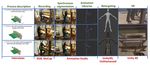 An Approach to the Creation and Presentation of Reference Gesture Datasets, for the Preservation of Traditional Crafts - MDPI