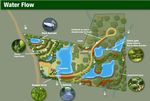 Permaculture Designer - From a 5 Acre cow paddock to a lush Paradise