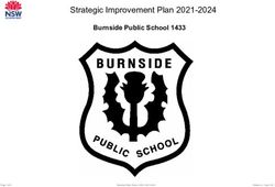 Strategic Improvement Plan 2021-2024 - Burnside Public School 1433 - Amazon AWS
