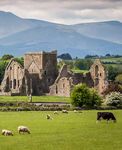 Ireland - walk the pilgrim's path: castles, cathedrals, & cornhusker football - Tekton Ministries