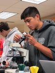 DELBARTON SCHOOL PROGRAM OF STUDIES - REQUIREMENTS 2020-21 CURRICULUM OVERVIEW UNDERSTANDING COURSE CODING ART COMPUTER SCIENCE & TECHNOLOGY ...