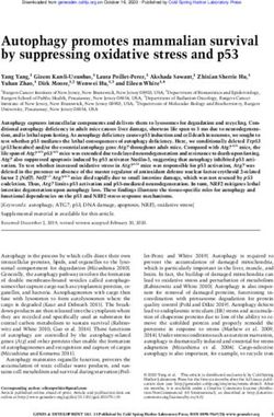 Autophagy promotes mammalian survival by suppressing oxidative stress and p53