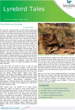 Lyrebird Tales - Birdlife Australia