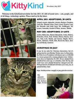 APRIL 2021 ADOPTIONS, 20 CATS