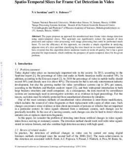 Spatio-Temporal Slices for Frame Cut Detection in Video