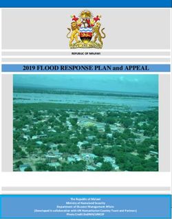 2019 FLOOD RESPONSE PLAN and APPEAL - Medbox
