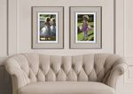 THE EDITIONS - DEMONTFORT FINE ART