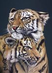 THE EDITIONS - DEMONTFORT FINE ART